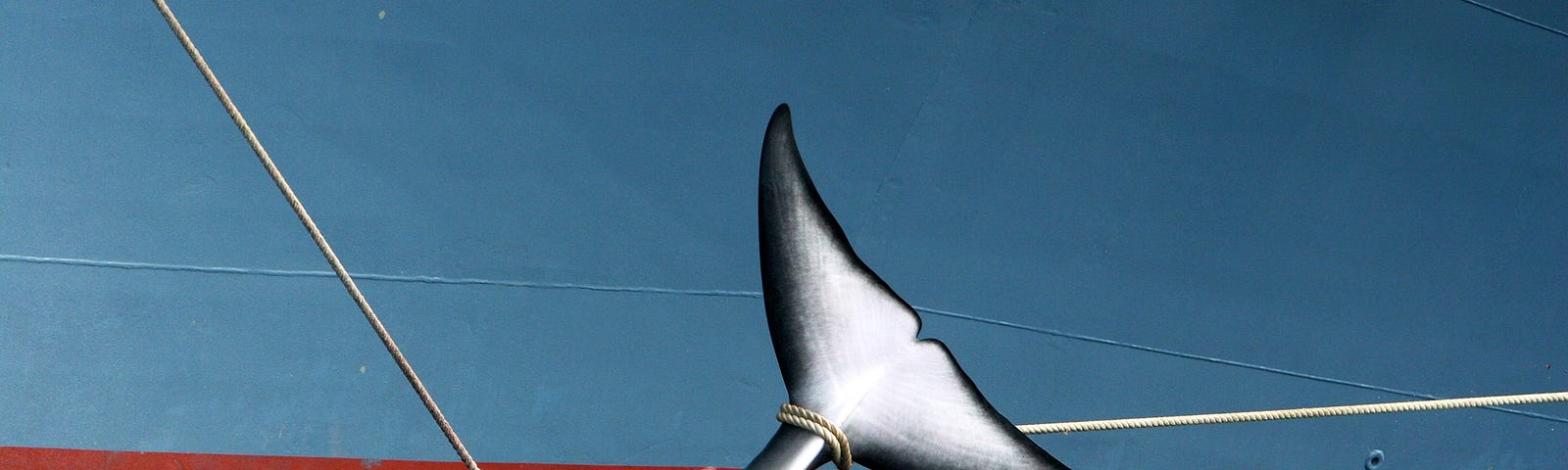 A whale being dragged out of the water by a Japanese Whaling ship, harpooned