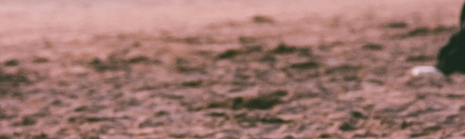 A soccer ball on the beach