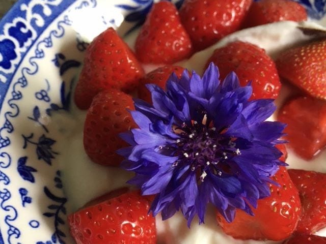 Blue cornflower on strawberries in a blue and white bowl