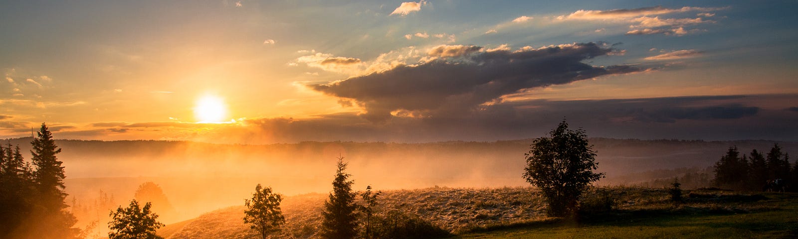 The sun rises over a misty landscape dotted with trees.