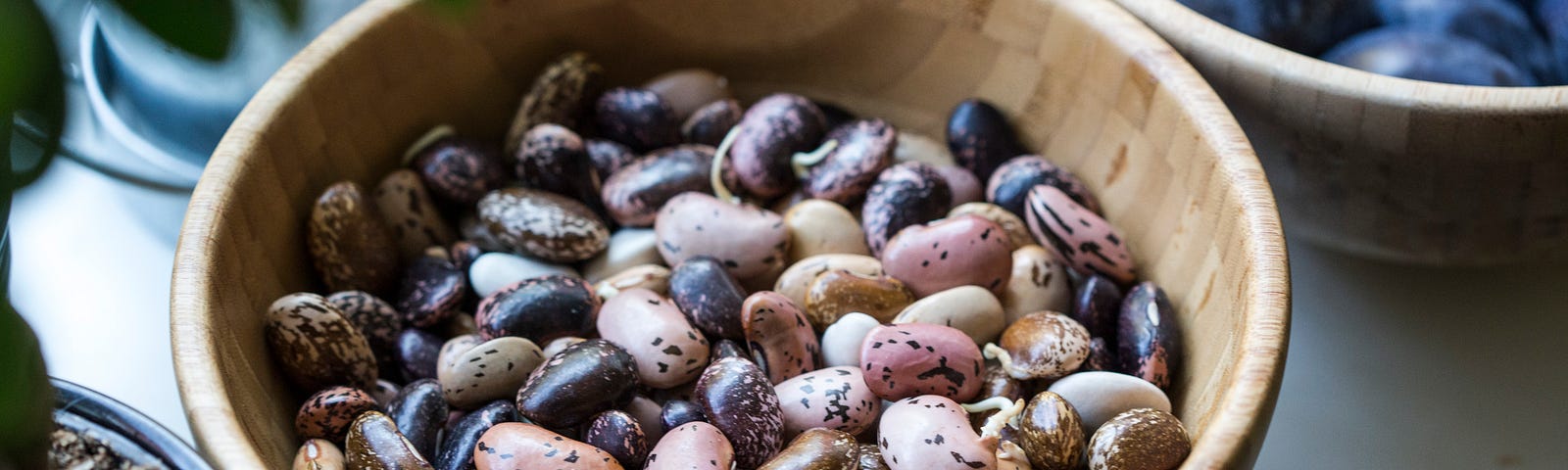 wooden bowl of dried beans