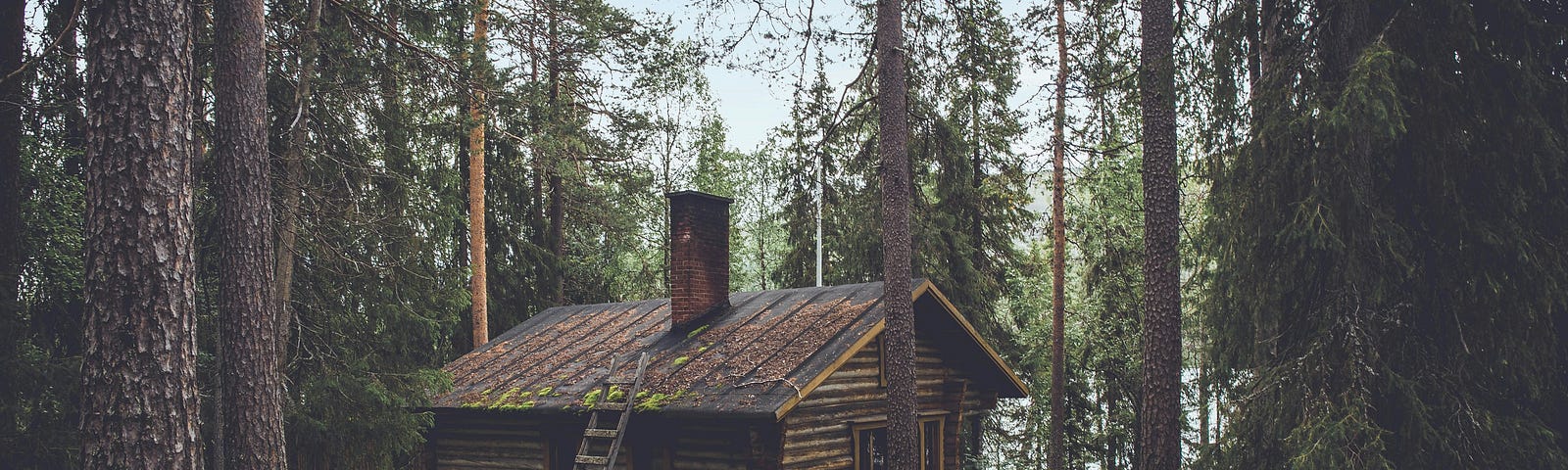 A log cabin