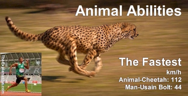 Animal Abilities. A Cheetah can outrun Usain Bolt anytime. Animals run off with all the Olympic medals.