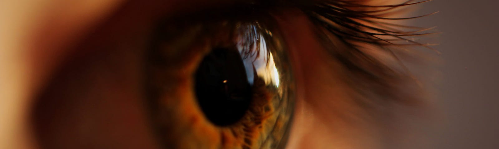 Close up picture of an eye