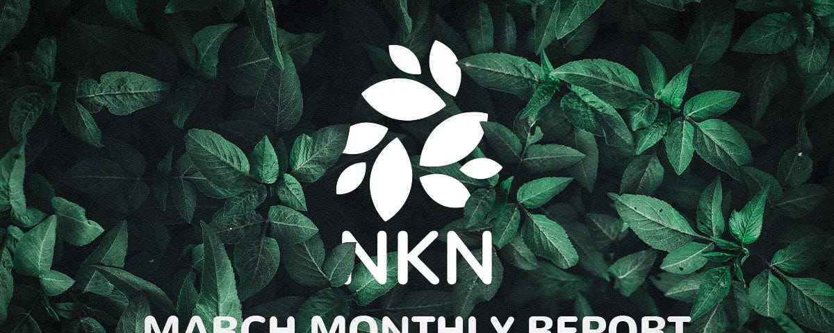NKN Monthly Report March 2023
