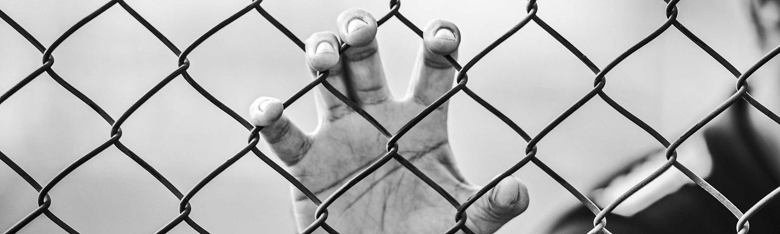 hand gripping onto a chain link fence