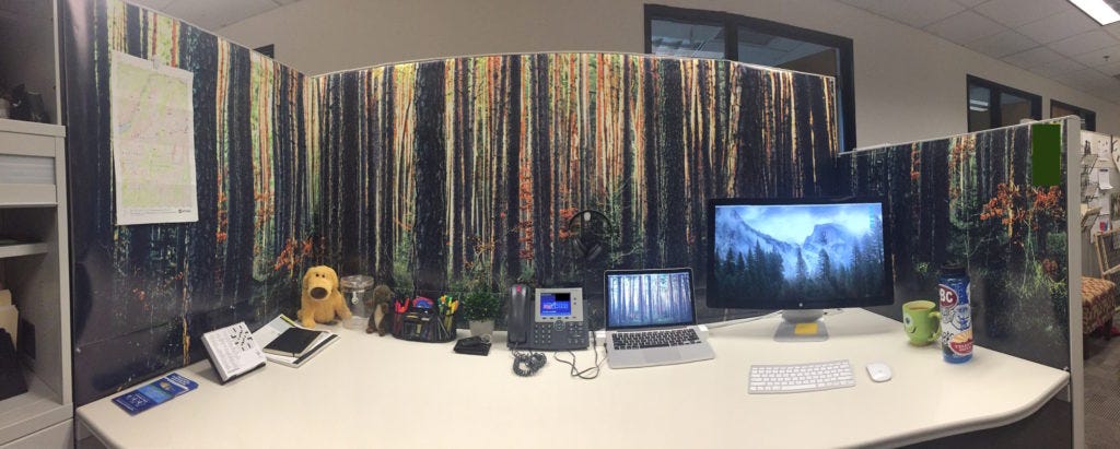 Cubicle Nature Transformation