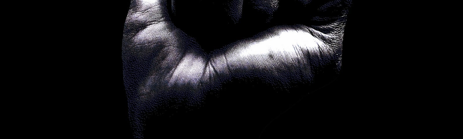 A clenched, dark skinned, fore-arm and fist raised straight up in significance.