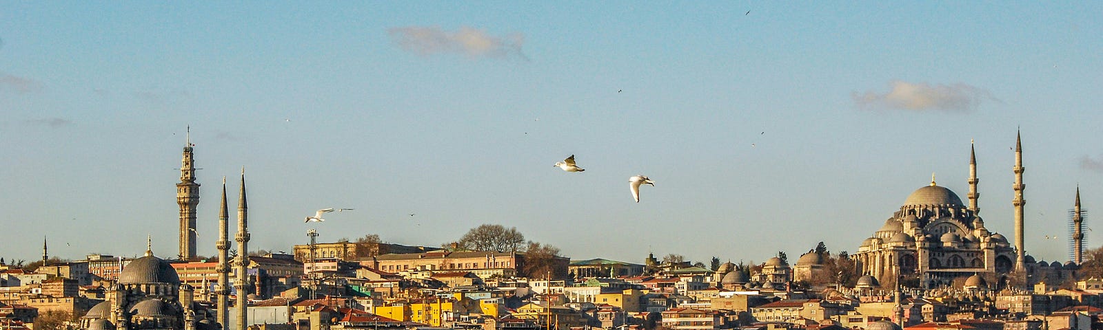 Istanbul as seen from the Bosporous Strait