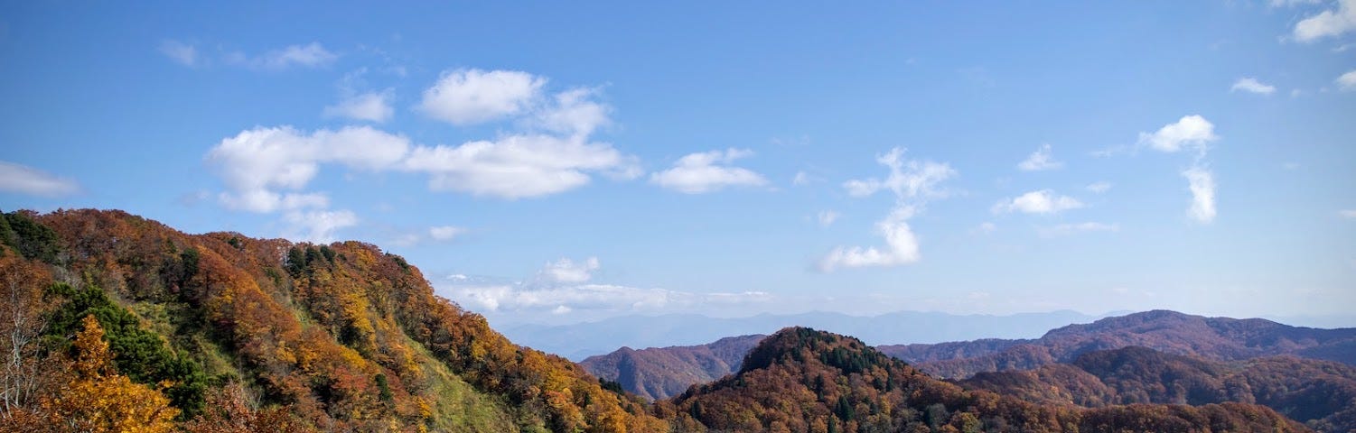 Mount Taizo of northern Japan, one of the best spots to view the autumn leaves, covered in all manner of colours, featuring deep reds, yellows, and greens and Susuki grasses in the foreground with a bright blue autumn sky in the background.