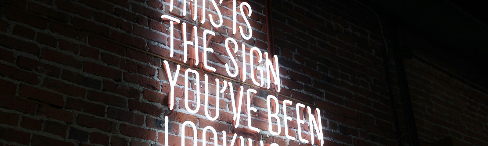A neon sign that says, “This is the sign you’ve been looking for.”