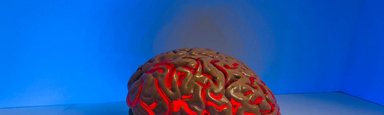 A colourful red and green model of a brain