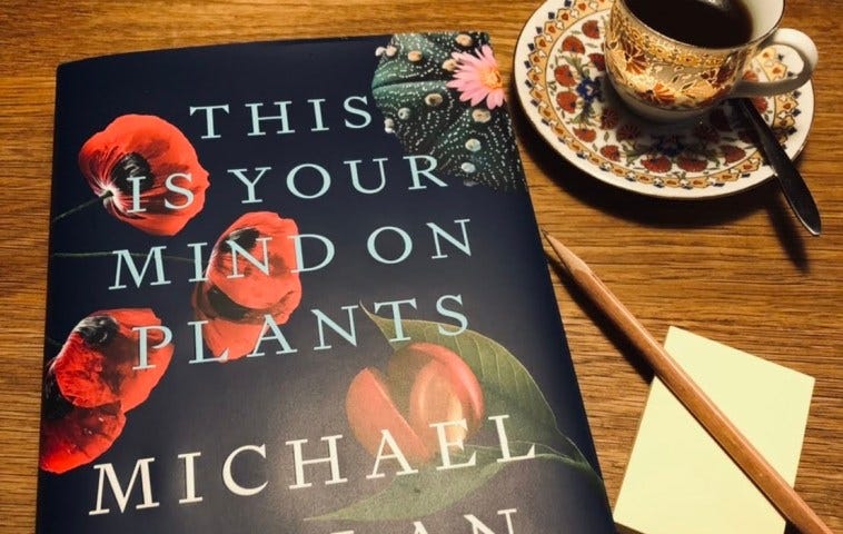 This is your Mind on Plants｜植物心藥