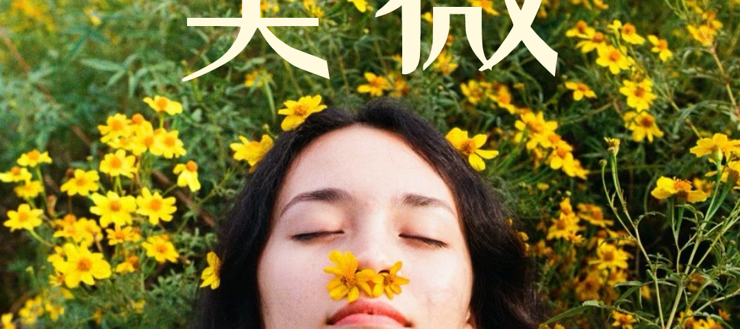 Meiwei EP Cover