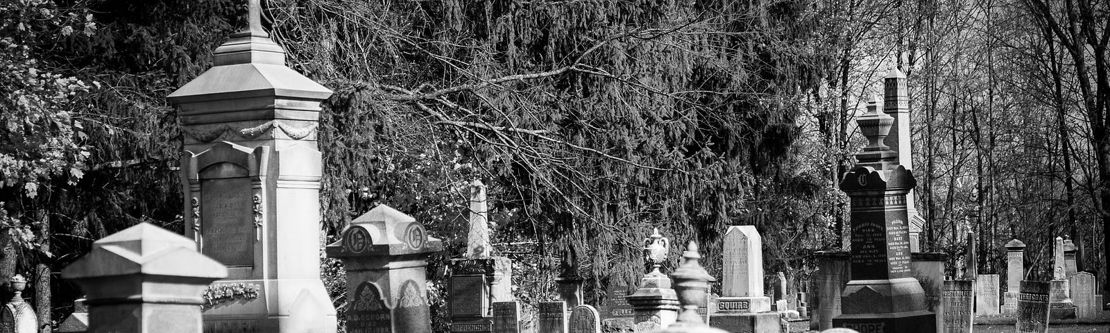 cemetery with white stones in a black and white photograph