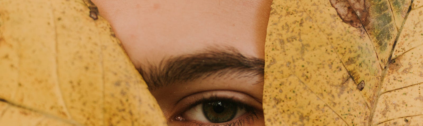 Three large yellow leaves hide most of a face. One eye peeks out.