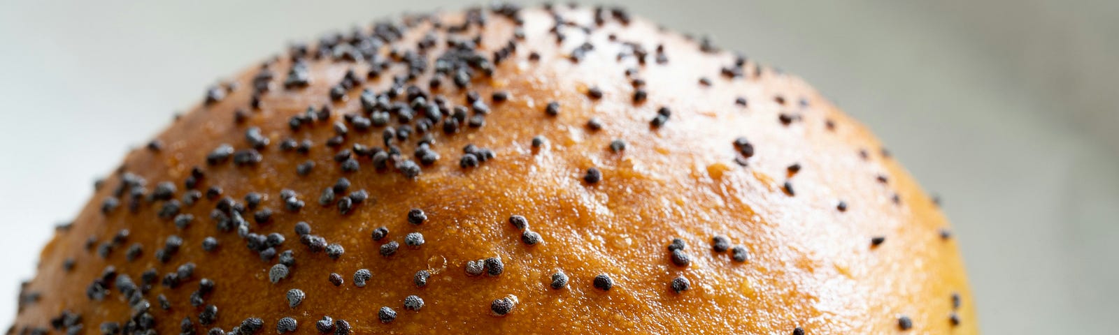 I perfectly golden browned rounded loaf of bread with poppy seeds glazed on top. I looks inviting for the first warm bite of bread .