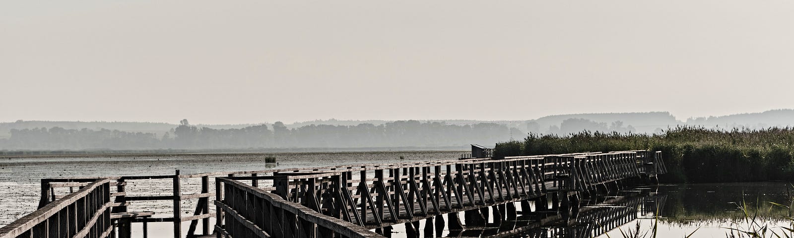 A rickety old dock into the water, in sepia tones