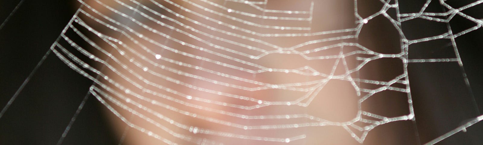 A woman is partially obscured by a large, intricate spider’s web, with strands of the web glistening in the light.