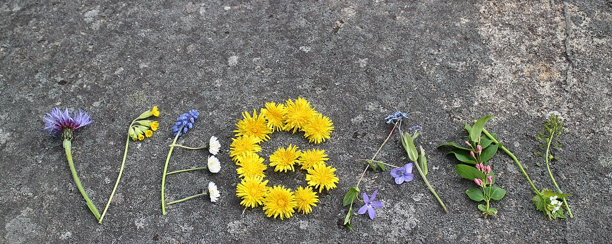 A photograph of the word VEGAN spelled out using lavender, yellow, and white flowers, green leaves, and green stems placed on a gray background.