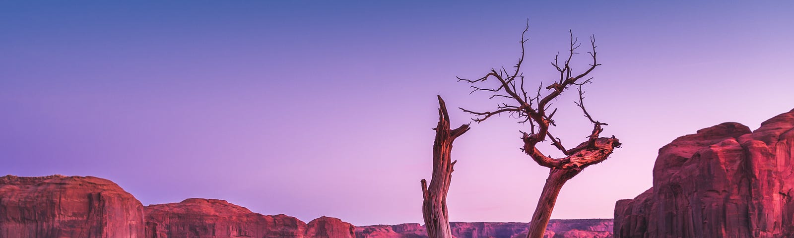 A desert with a dried up tree in the foreground.