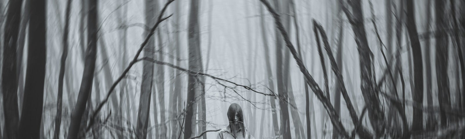 A nightmarish picture of a ghostly girl in a white dress, surrounded by a creepy barren woodland.