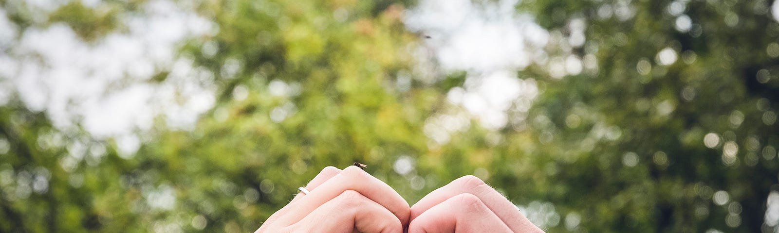A man’s and woman’s hand combined to form a heart. Trees in the background.