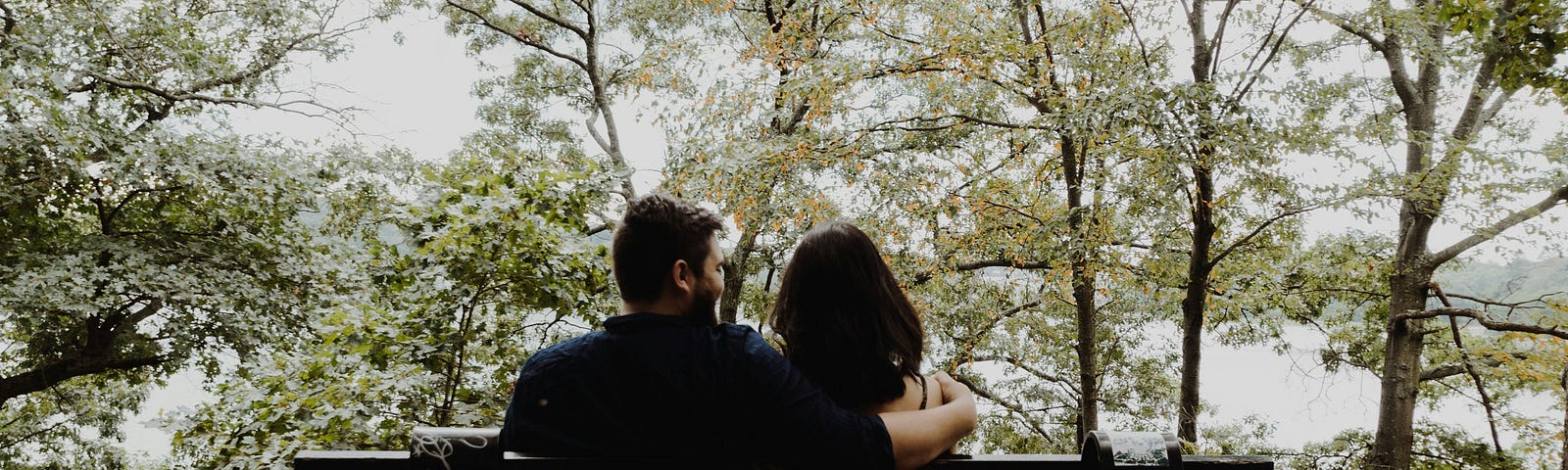 Back view of young couple on park bench, viewing trees. His arm is around her shoulder.