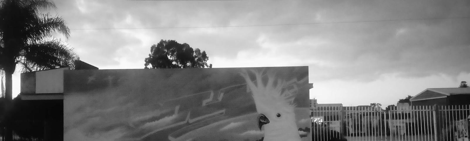 A deserted street in front of a wall with a black and white mural. The mural depicts a bird with a prominent crest, possibly a cockatoo, against an abstract background suggesting movement or wind. In the background, some buildings and a metal fence are visible, while the cloudy sky adds to a melancholic and calm atmosphere.
