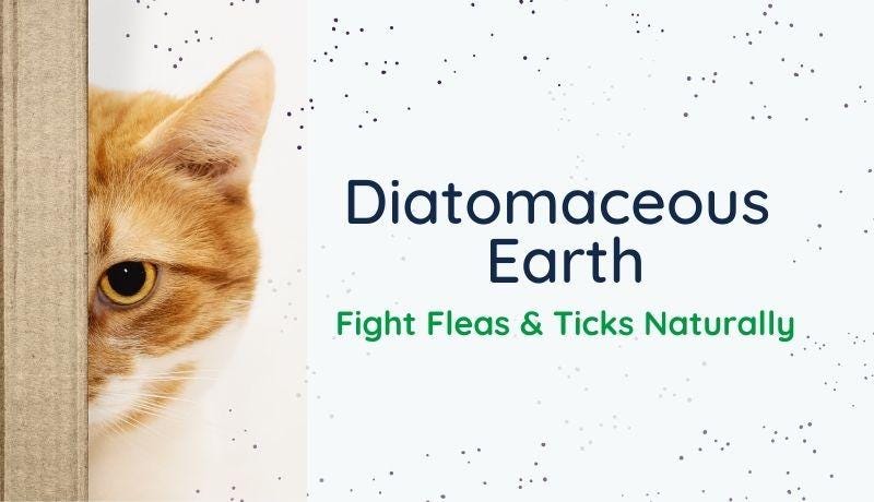 how fast will diatomaceous earth kill fleas on dog