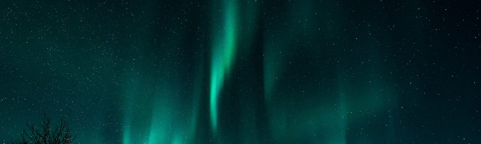 Green aurora in night sky.