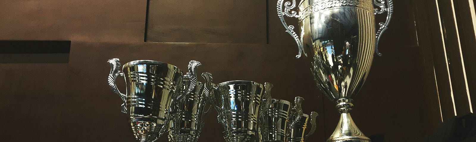 Photo of a group of trophies sitting on a shelf.