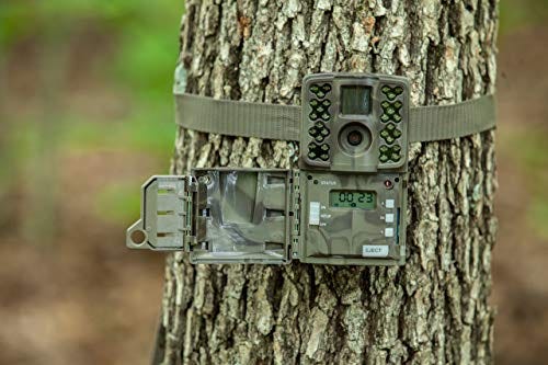 Wireless Game Cameras