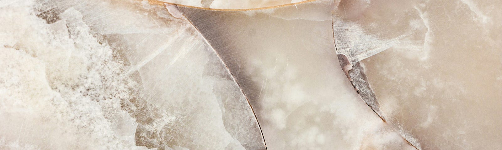 A close-up of light-coloured stones with enclosures.