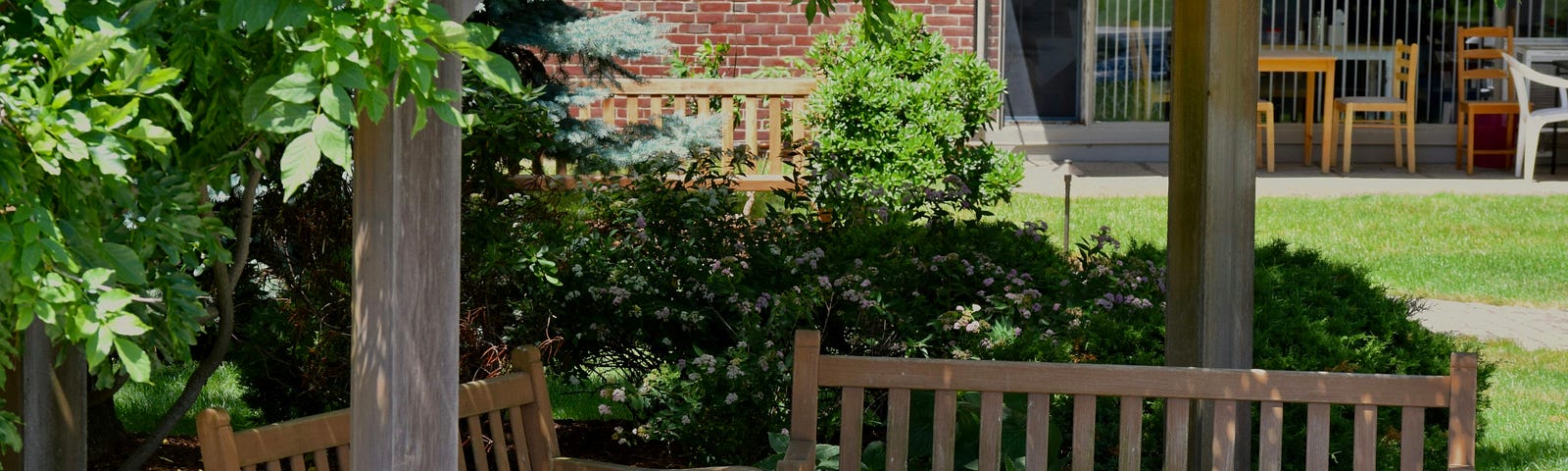 two park benches under a shady tree