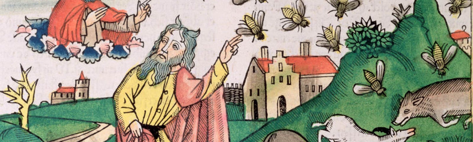 A copy of a 15th century German manuscript depicting the plague of insects.