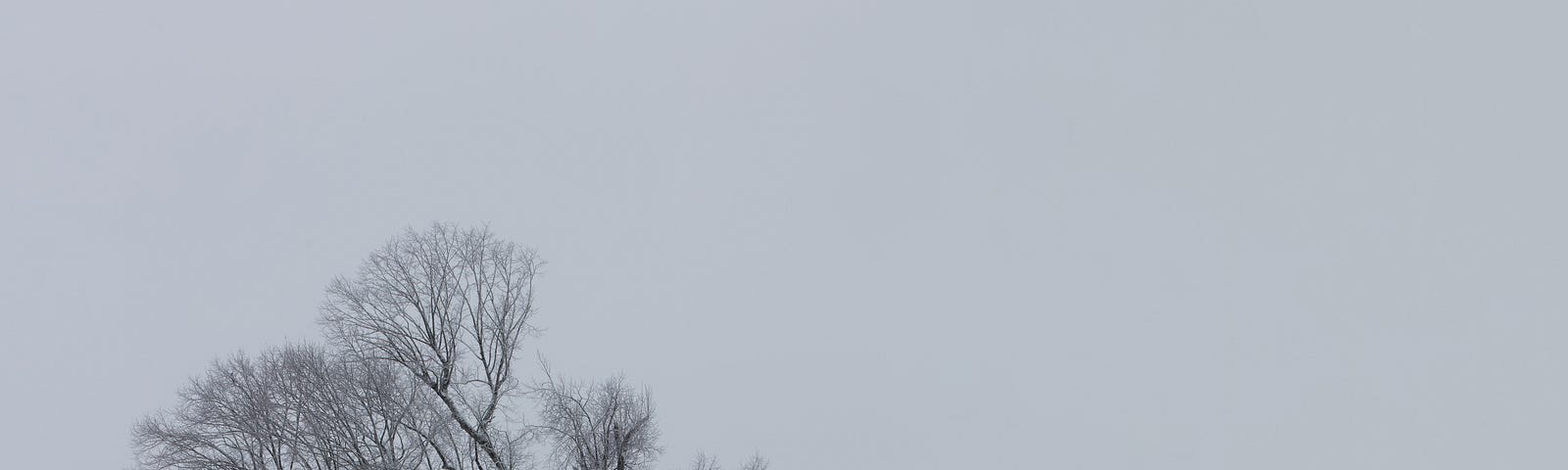 A picture of a barren tree atop a hill in a snowy landscape.