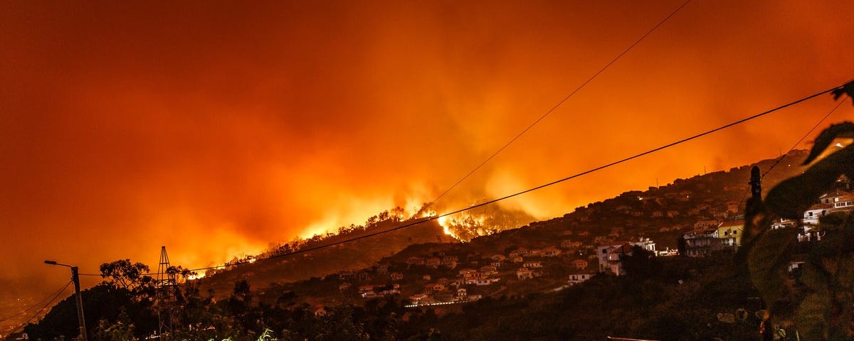 Scene of an inferno with fire still burning in the horizon