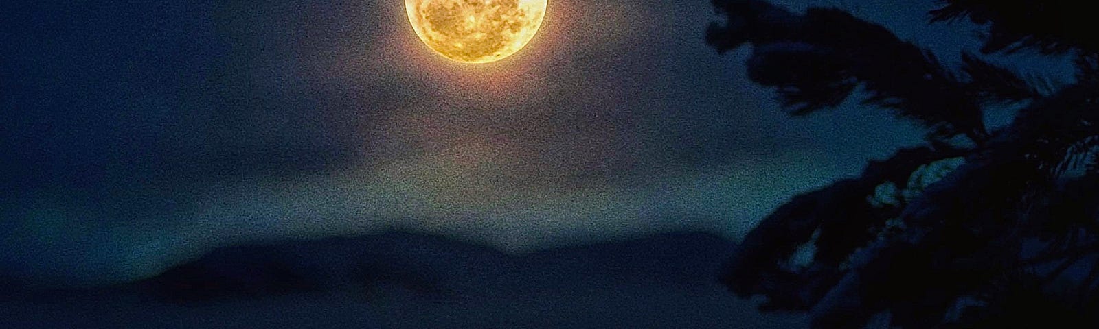 huge glowing moon on a winter night
