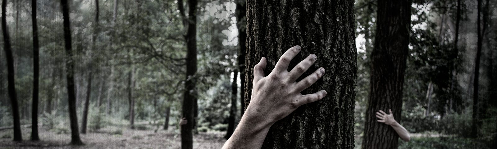 Scary human hands on trees in the woods.