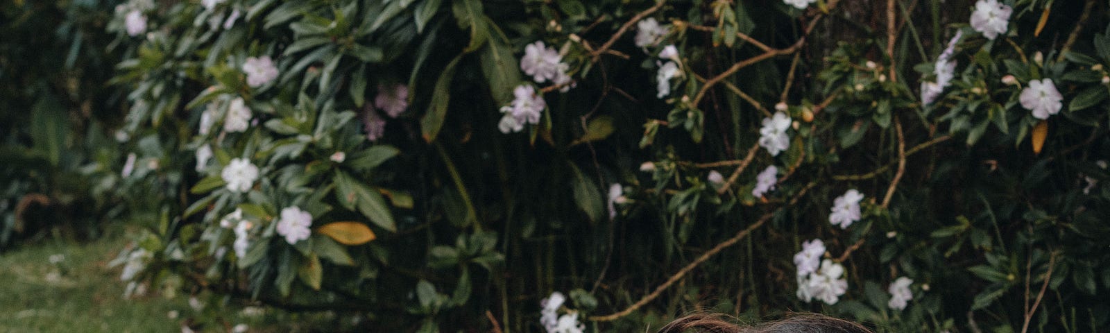 A woman wearing jeans and a black top lies face down in grass. A bush with flowers are behind her.