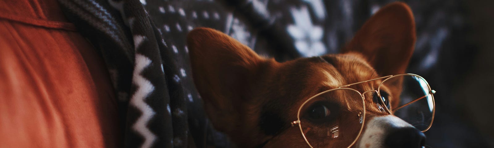 Cozy dog wearing glasses, comfortably nestled under a blanket, exuding a sense of relaxation and contentment, embodying the essence of enjoying life’s simple pleasures.