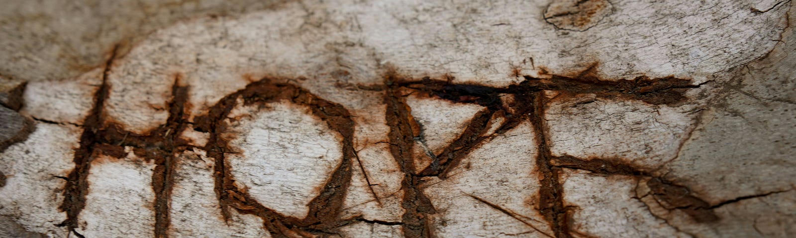 Hope etched on a rock