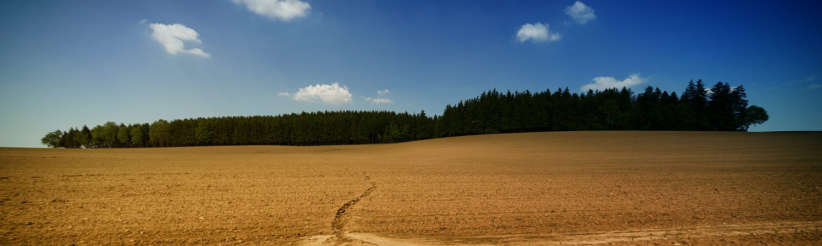 a wide field of dirt with a forest in the distance, under a blue sky