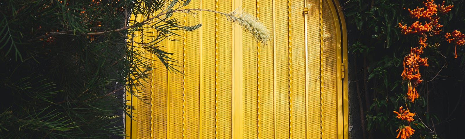 yellow metal door close up, against rust-orange flowers