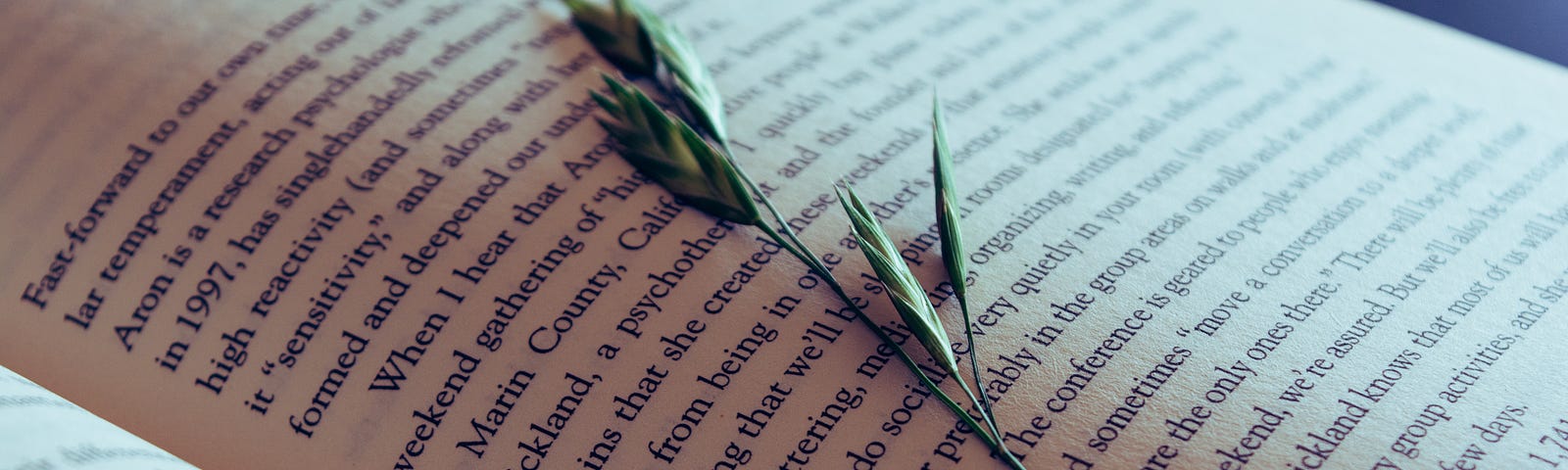 An open novel with a pressed green budding flower laid across the page.