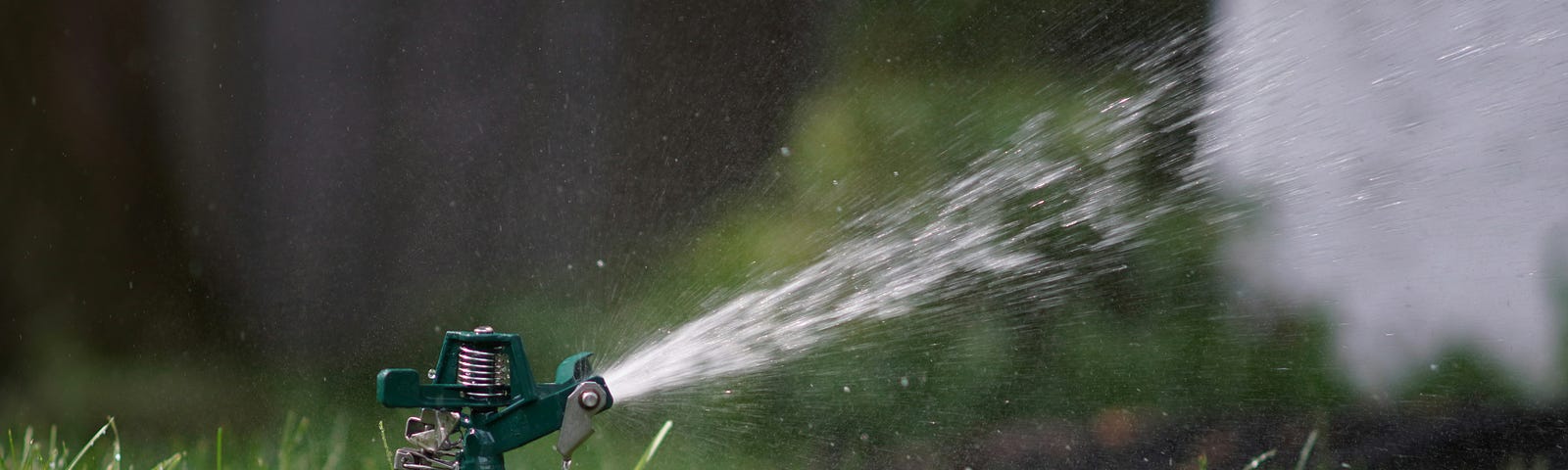 A rain bird sprinkler on the lawn.