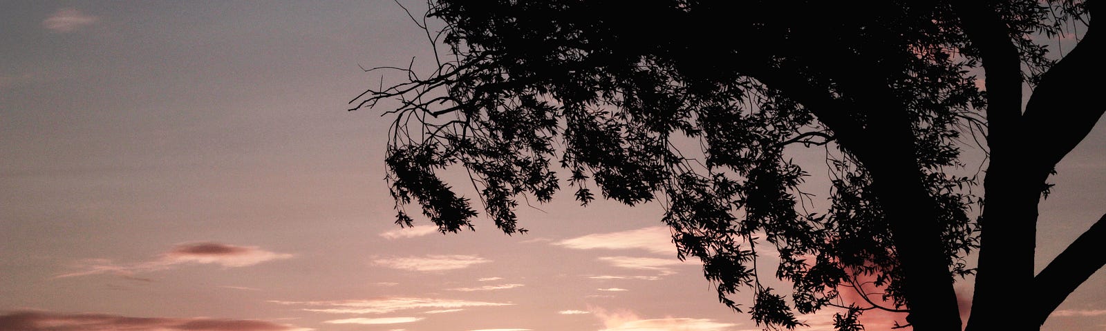 A silhouette of a couple sitting down by a tree outside as the sun sets in the distance.