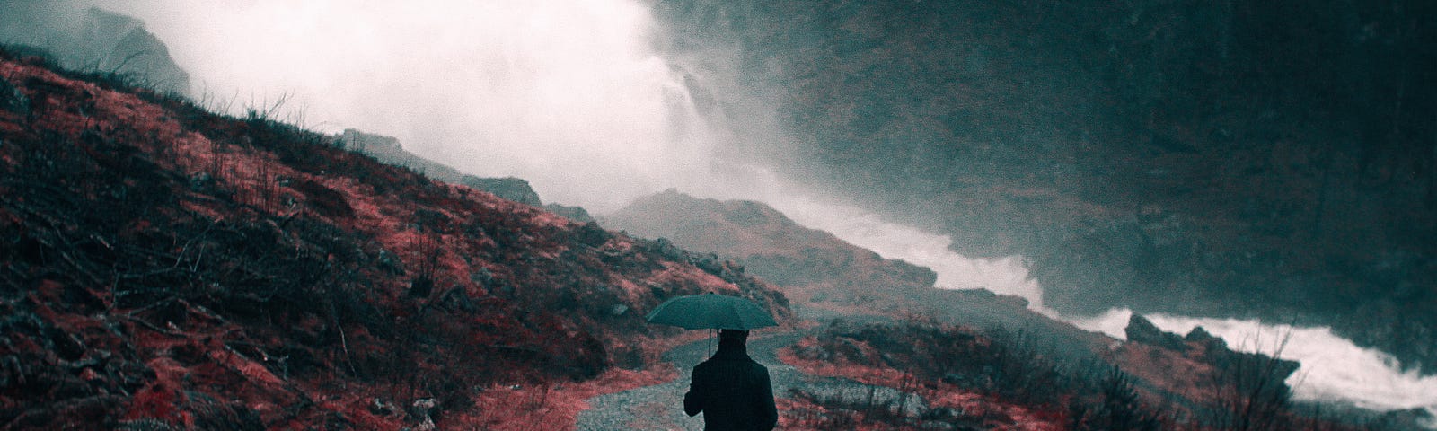 Person walking along a paved path in the rain