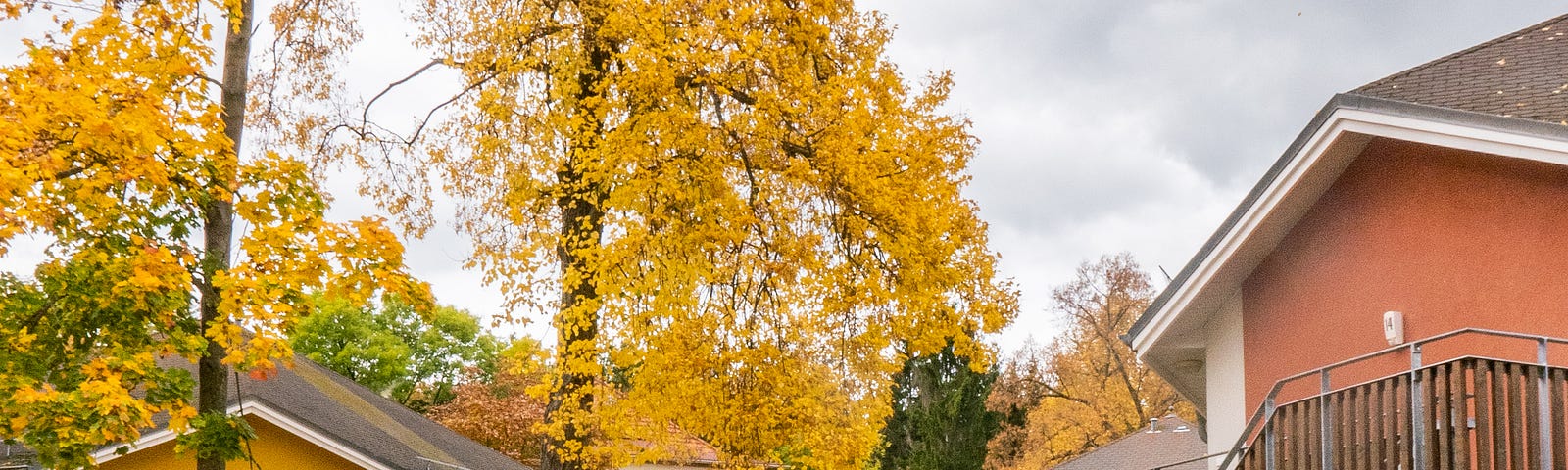 A photo of several houses in a leafy neighborhood.